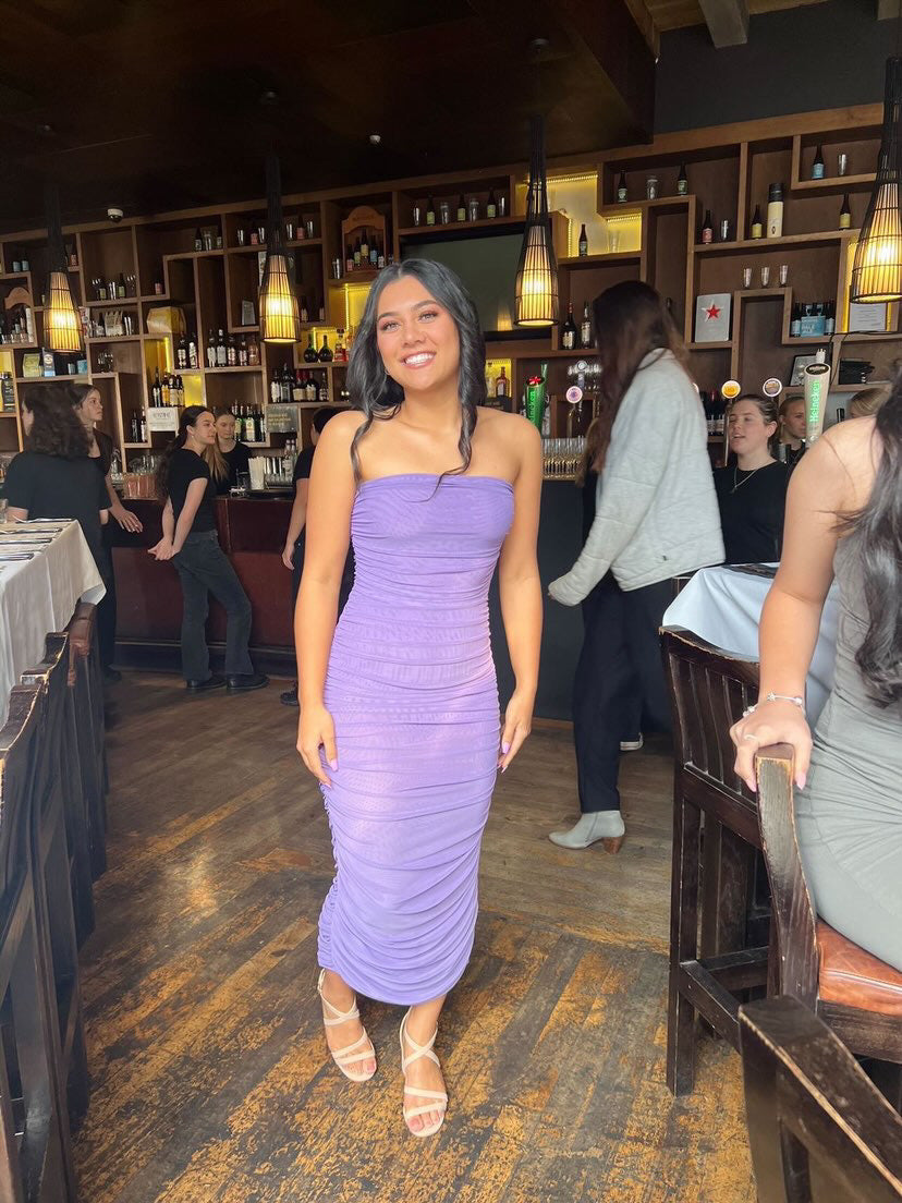 Ruby - Ginni Mesh Tube Dress in Wisteria