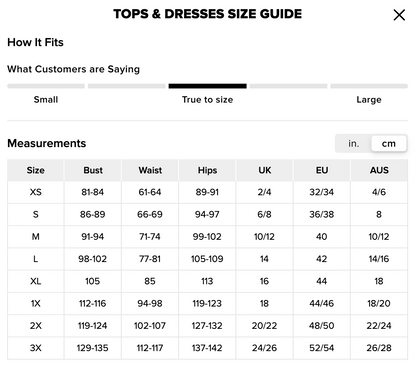 FN - Daniella Lace Corset Pleated in Light Blue